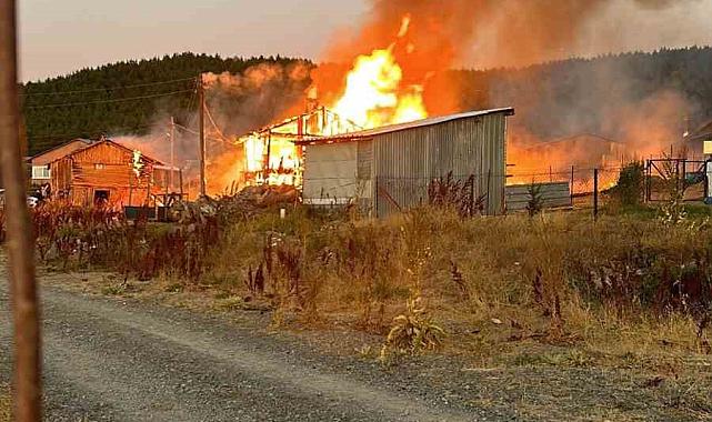 Bolu Valiliği açıkladı, yayla evleri elektrik kaçağından yanmış