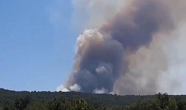 Bolu'da Orman Yangını: Müdahale Havadan ve Karadan Sürüyor