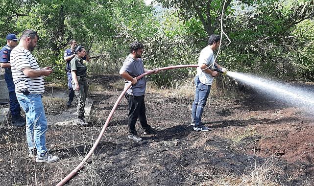 Bolu'da Otluk Alandaki Yangın, Eve ve Ormana Sıçramadan Söndürüldü