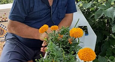 Çıktığı erik ağacı sonu oldu