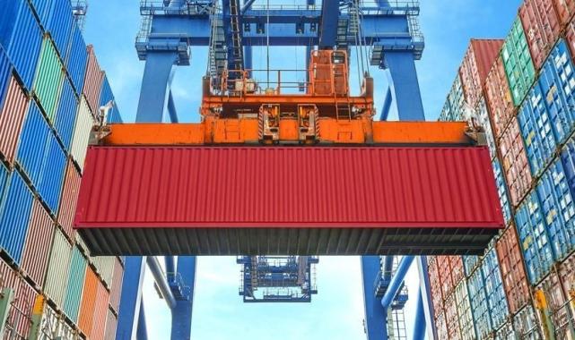 Düzce'den 8 bin 849,5 ton orman ürünü ihraç edildi