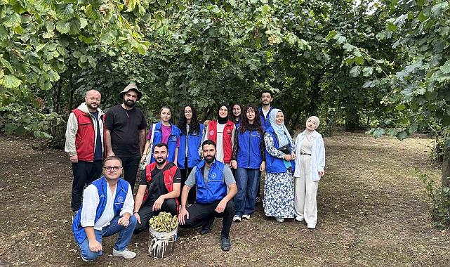 Gönüllü gençler fındık hasadı yaptı