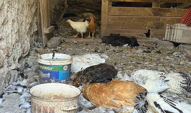 Kadın girişimcinin 22 yıllık emeği bir gecede yok oldu