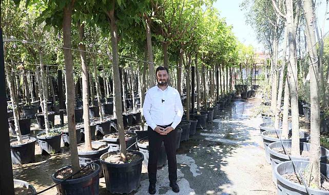 Kağıthane'ye 50 bin ağaç ve 1 milyon metrekare yeşil alan kazandırıldı