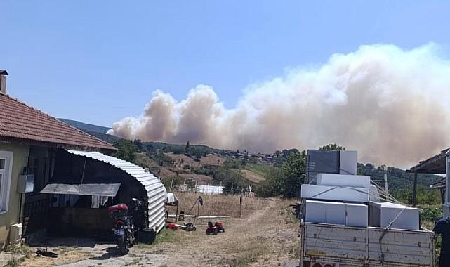 Kocaeli'de orman yangını başladı