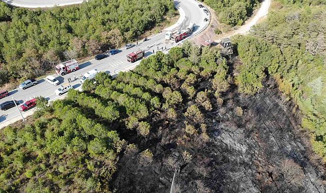 Kocaeli'deki orman yangını 1 saatlik müdahaleyle kontrol altına alındı