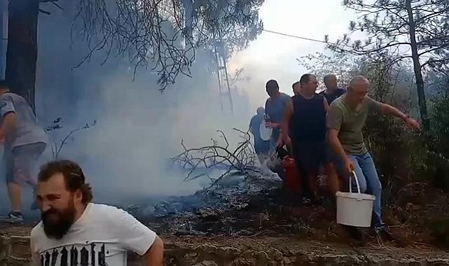 Mahalleli birlik oldu, orman yangınına kovalarla müdahale etti