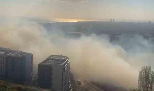 Maltepe'de geniş arazi yangını