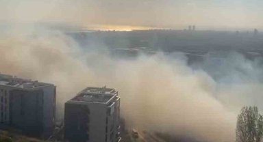 Maltepe'de geniş arazi yangını