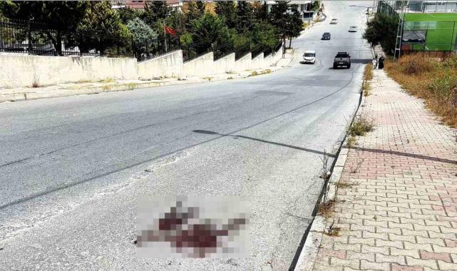 Mezarlık önünde kardeş kavgası cinayetle bitti: 1 ölü