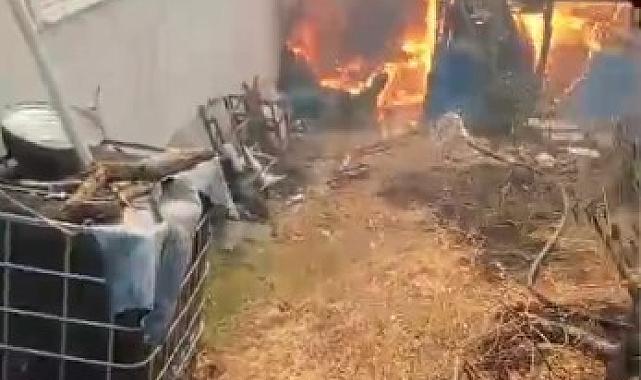 Kocaeli’de Orman Yangını Köye Sıçradı