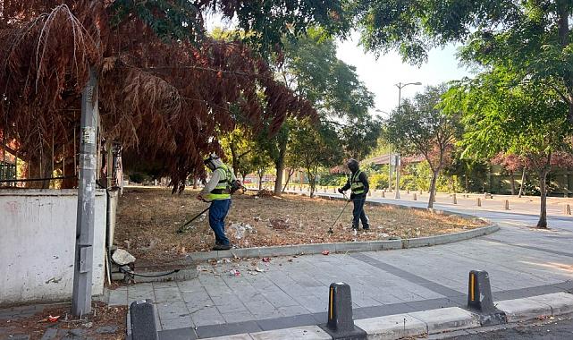 Silivri Belediyesi'nden yangınlara karşı önlem: Ot biçme ve temizlik çalışmaları yapıldı
