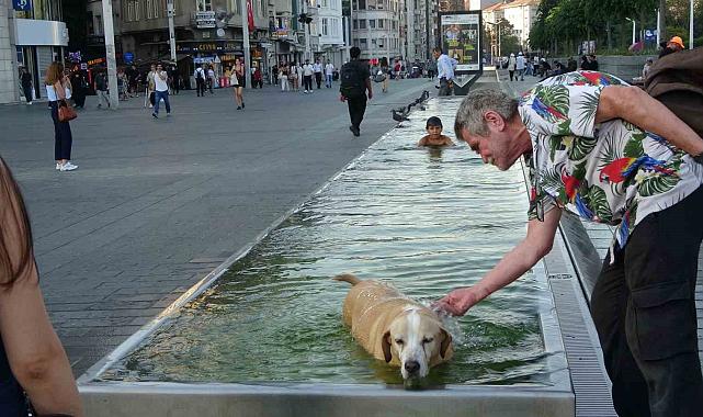 Taksim'de sıcak havadan bunalan çocuk ve köpek süs havuzunda serinledi