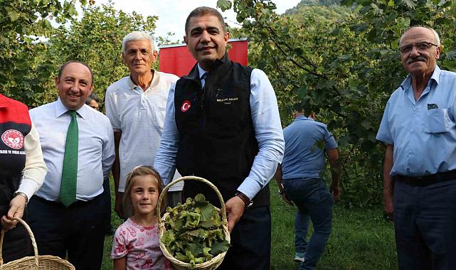 Vali Aslan, önce horon oynadı ardından hasat sezonunu açtı