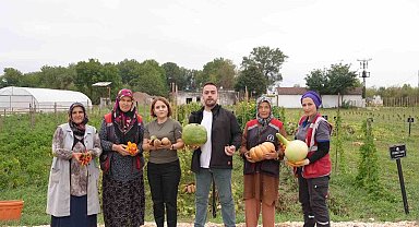 Ata tohumu yetiştiriciliğinde ilk hasat
