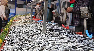Bolu'da hamsi kilosu 200 liradan tezgahlarda yerini aldı