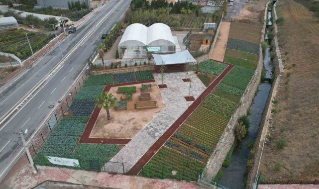 Çayırova'da vatandaşları toprakla buluşturacak proje yarın açılıyor