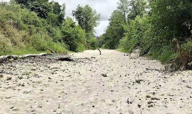 Doğaseverlerin kuruyan gözdesi suya tekrar kavuştu