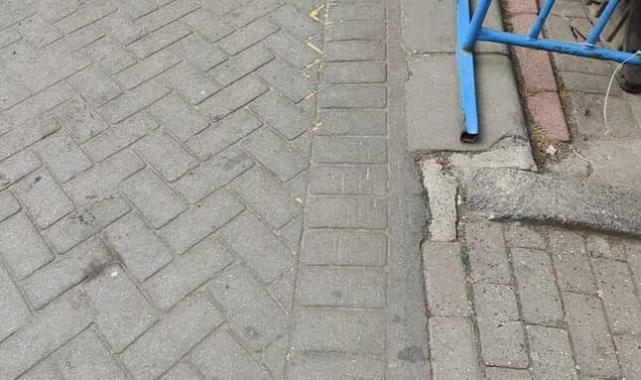 Gaziosmanpaşa'da ağızlıksız gezdirilen pitbull başka köpeğe saldırdı