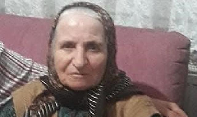 Kocaeli'de otomobilin çarptığı yaşlı kadın hayatını kaybetti