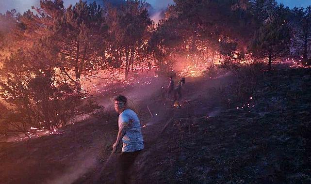 Sakarya'da makilik alanda çıkan yangın söndürüldü
