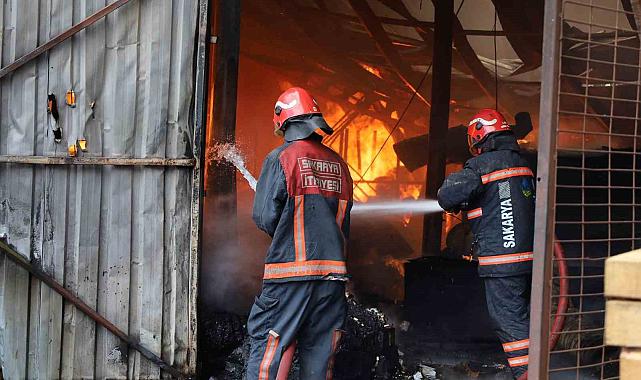 Sakarya'da yangın vakaları bir yılda yüzde 32 arttı