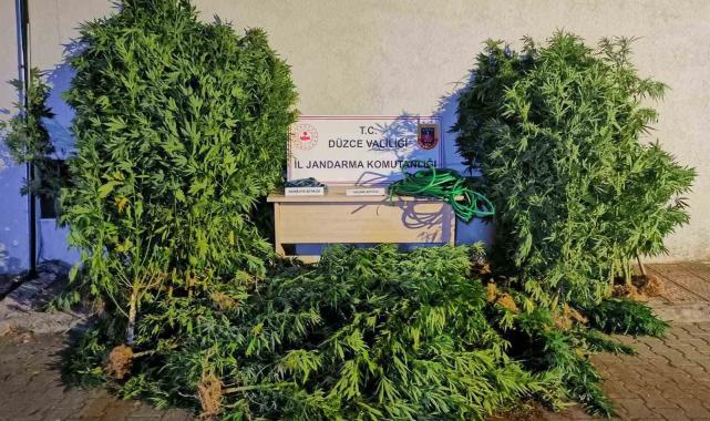 Uyuşturucudan 6 kişi tutuklandı, 44 şahıs hakkında işlem yapıldı