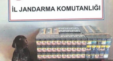 Bolu'da yolcu otobüsünde kaçak sigara ele geçirildi
