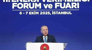 Cumhurbaşkanı Erdoğan: "Uluslararası piyasalardan doğal gaz almak bakkaldan gazoz almaya benzemez"