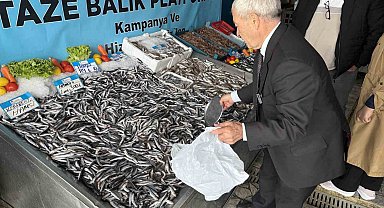 Denizlerde balık bolluğu: Hamsinin fiyatı 89 liraya düştü