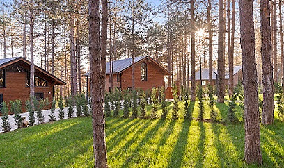 HARMONY GREEN VILLAGE SAPANCA – DOĞANIN KALBİNDE HUZUR VE KONFOR