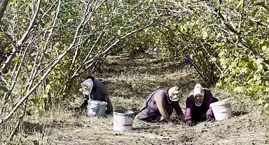 Kaynarca'da Vatandaşlar Kur'an Kursu İçin Seferber Oldu