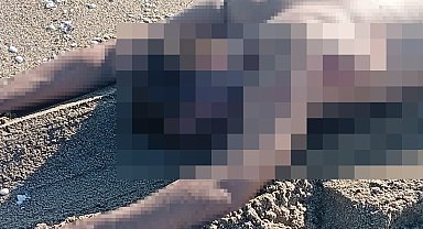 Sakarya'da sahilde çıplak erkek cesedi bulundu