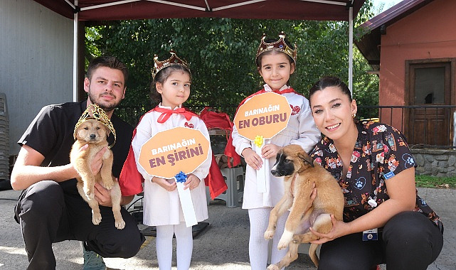 Sapanca’da Hayvan Hakları Günü Coşkuyla Kutlandı