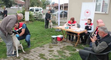 Son tarih 31 Aralık 2025