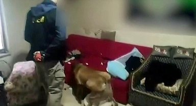 Uyuşturucu Operasyonu: 12 Tutuklama