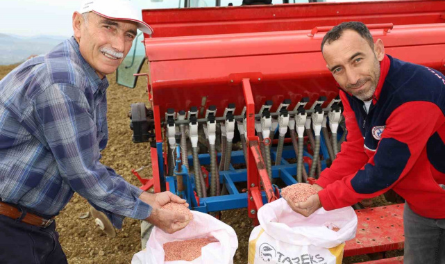 Kocaeli'de çiftçilere yüzde 75 hibeli tohum desteği