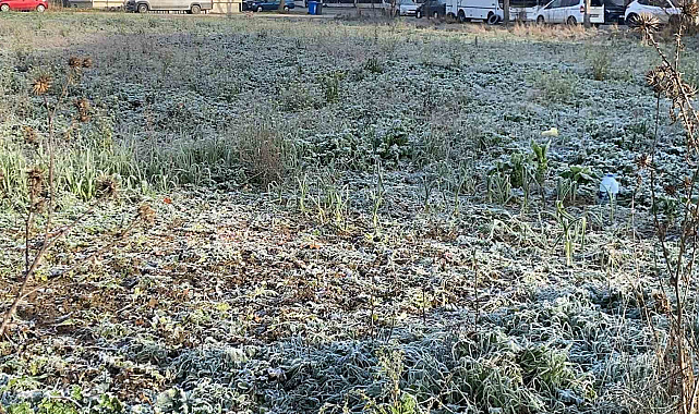 Soğuk hava sebebiyle çimler ve otomobil camları buz tuttu