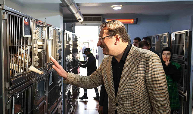 Sokak Hayvanları Doğal Yaşam Kampüsü 150 Can Dostunu Karşıladı