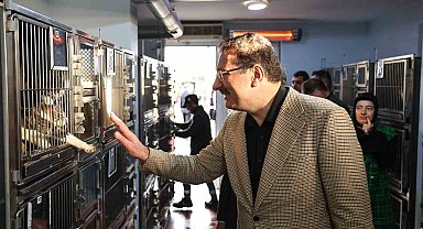 Sokak Hayvanları Doğal Yaşam Kampüsü 150 Can Dostunu Karşıladı