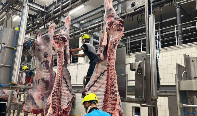 Büyükşehir mezbahasında 6 bin 29 kesim yapıldı