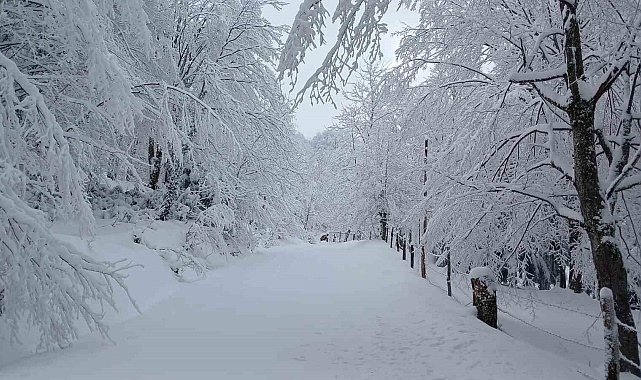 Sakarya'da aynı anda iki mevsim yaşanıyor