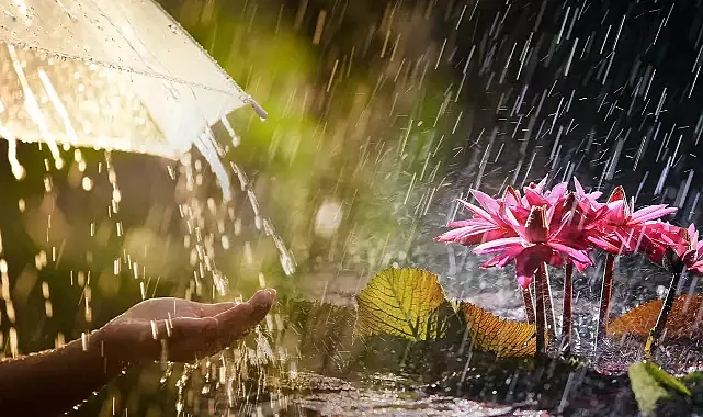 Valilik Alarmı Verdi: Sakarya’da Bahar Kısa Sürdü, Kış Geri Geliyor