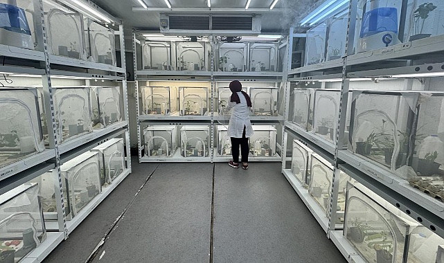 300 Ürünü Vuran Kabusa Karşı “Samuray” Operasyonu!