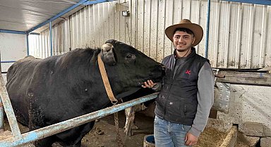 Aksiliklerinden kantara çıkamıyorlar: 4 yaşındaki dev tosunları gören bir daha bakıyor