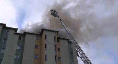 Ataşehir'de site içinde yangın: Sakat köpek mahsur kaldı