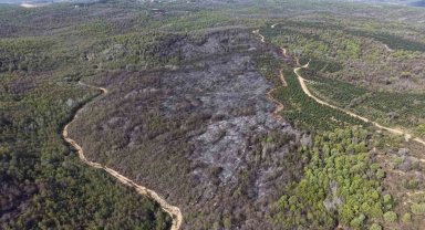 Beykoz'daki yangının bilançosu gün ağarınca ortaya çıktı