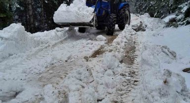 Bolu'da karla kaplanan yayla yollarını köylüler açtı