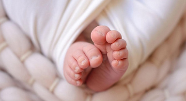 Doğum yardımı ödemeleri hesaplara yattı: Bakan Göktaş açıkladı