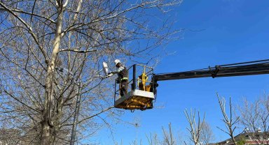 Esenyurt Belediyesi'nden yeşil alanlara bahar dokunuşu